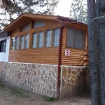 ива Sarnitsa