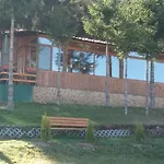 ива Sarnitsa