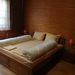 ива Sarnitsa